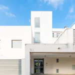 Casa Grullo *